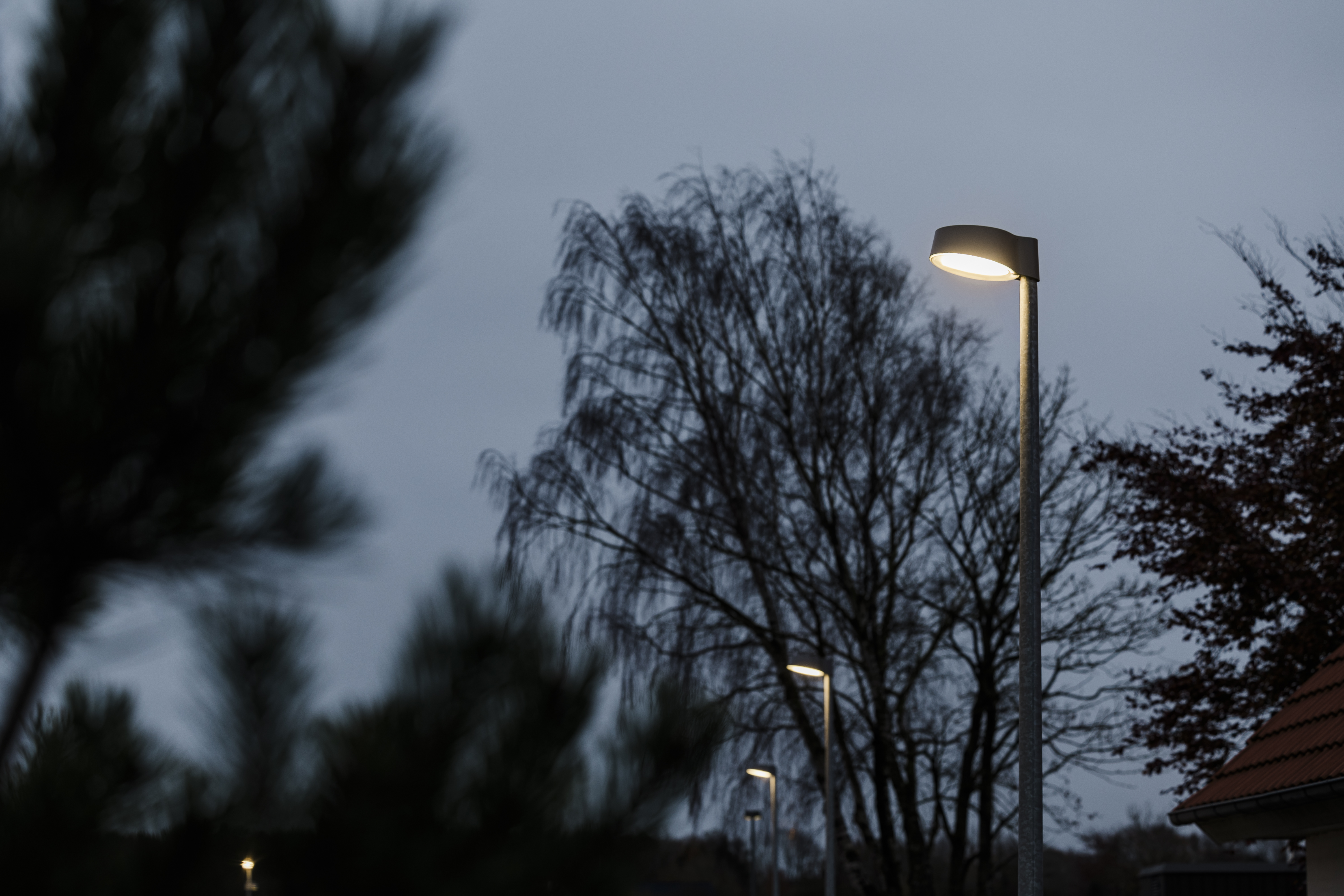 focuslighting_dilling_nov24_0181