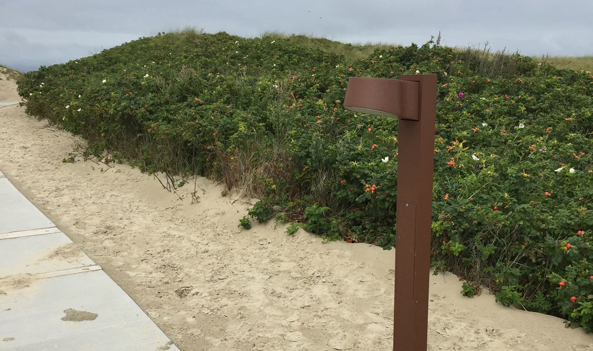 nyxpullert_lakolk_close_1166