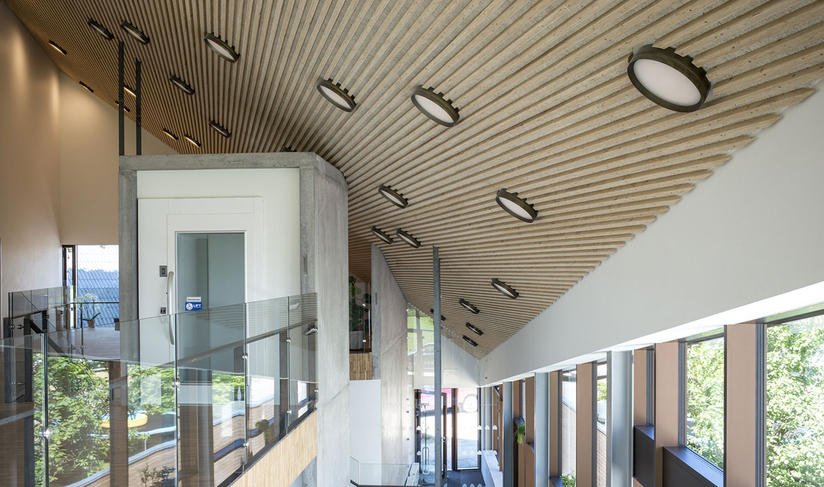 peleepaabyg_manyclose_1166