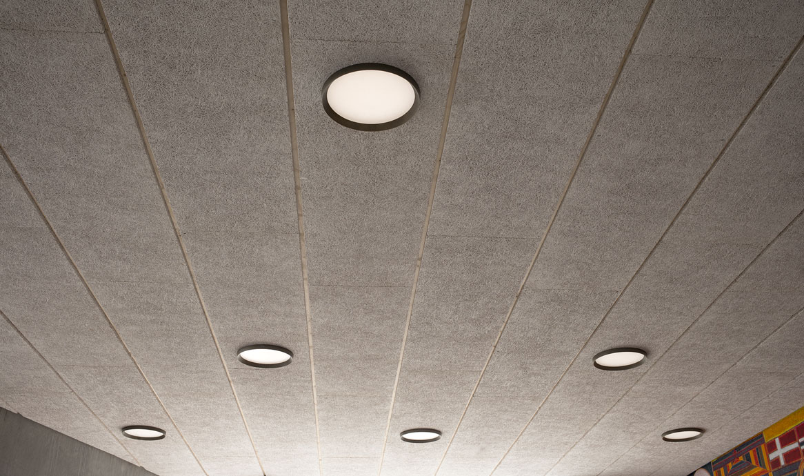 pelee_jelling_symmetri_1166