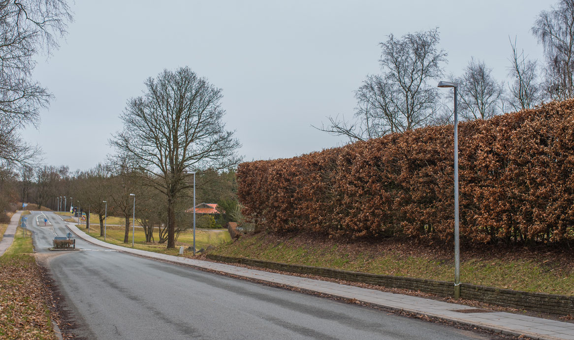 peak_viborg_0220_1166