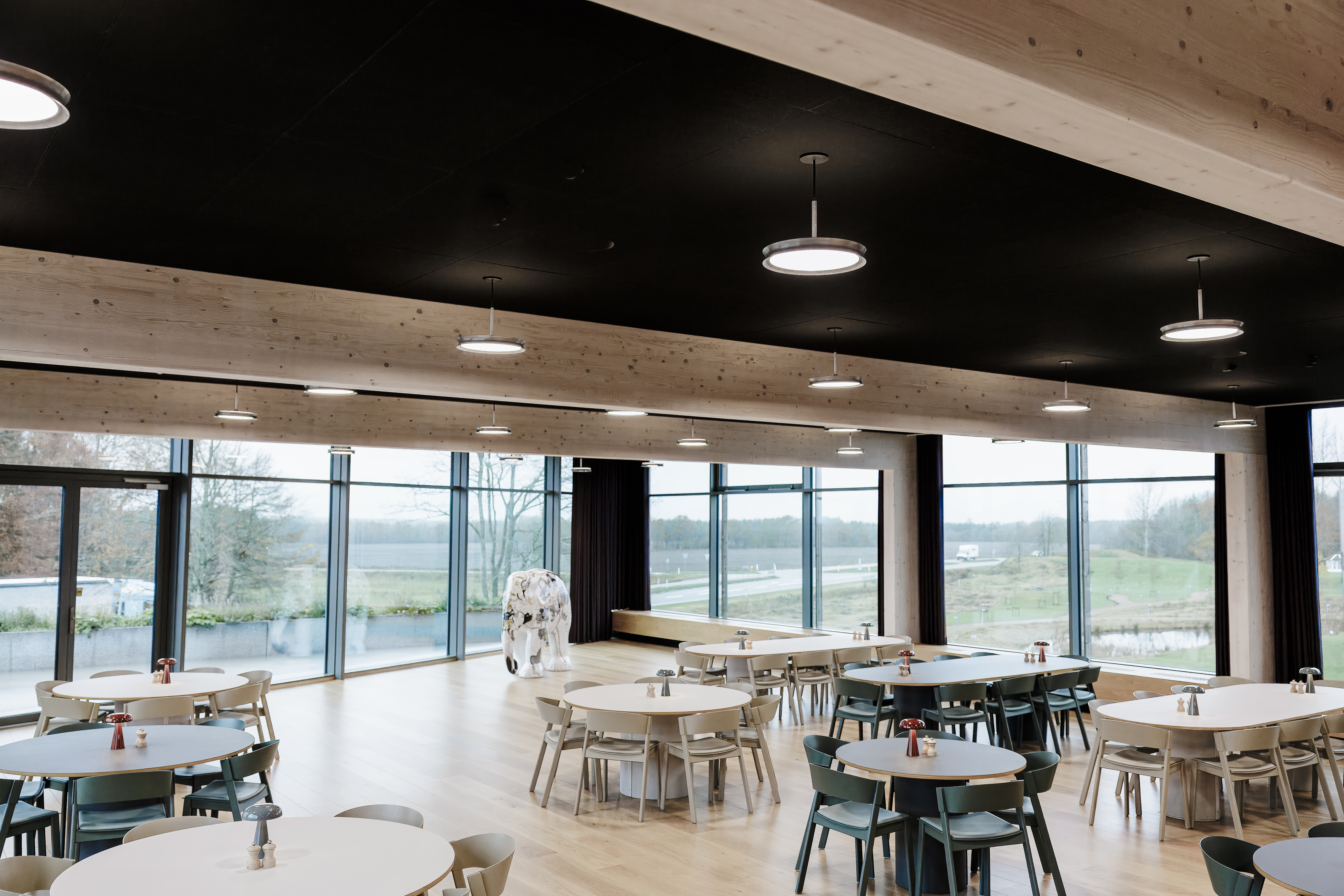 focuslighting_dilling_nov24_0124