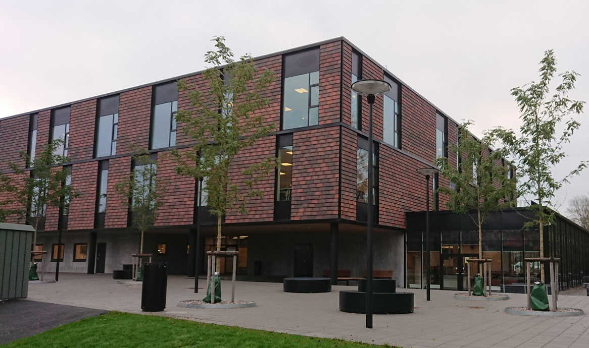 becco_zealandroskilde_1166