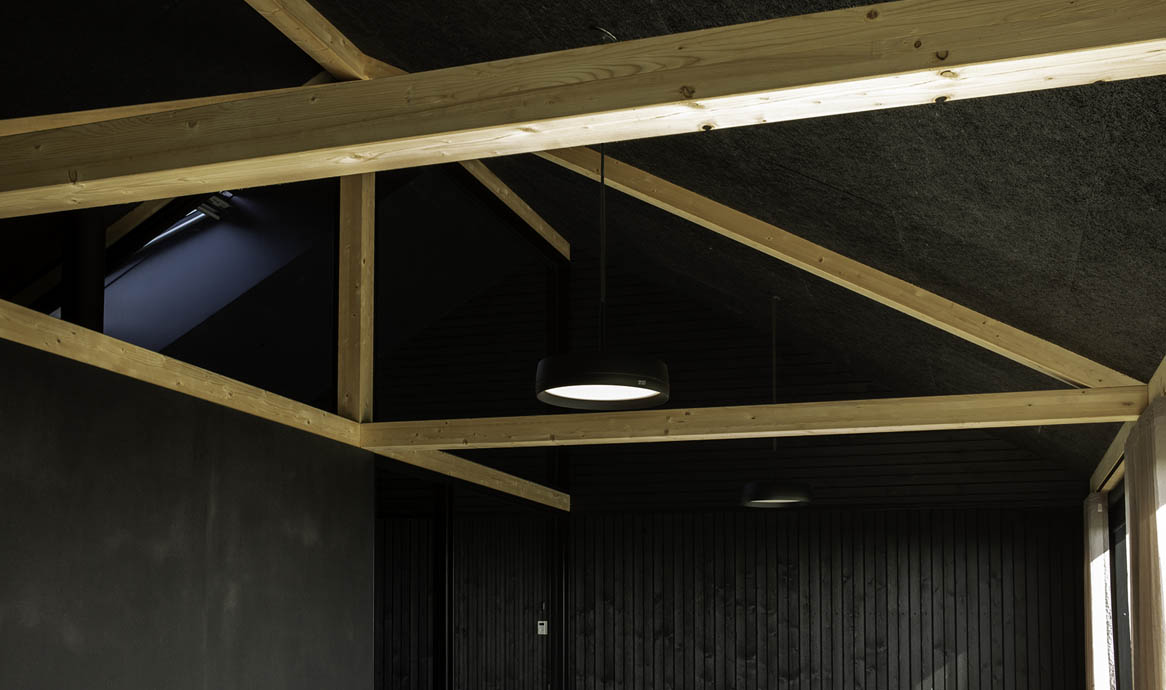 peleependel_0209_close_1166