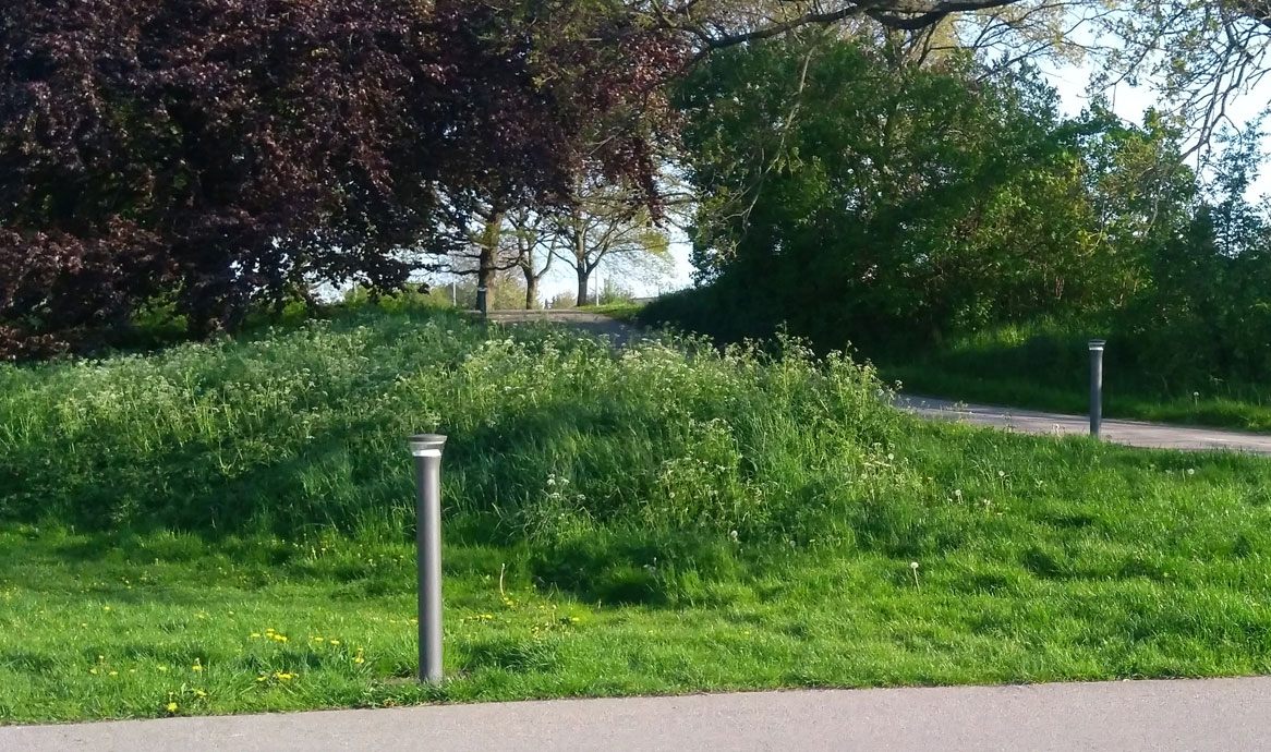 skypullert_mosede_1166_1