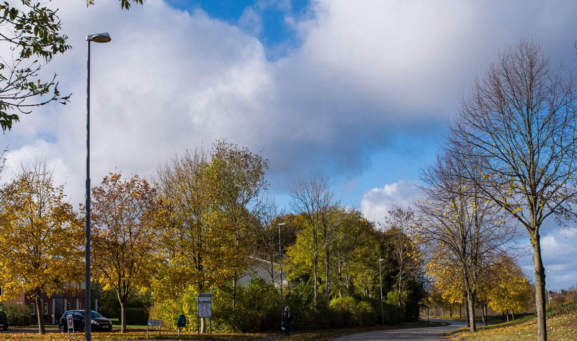 peak_tilst_131108_1166