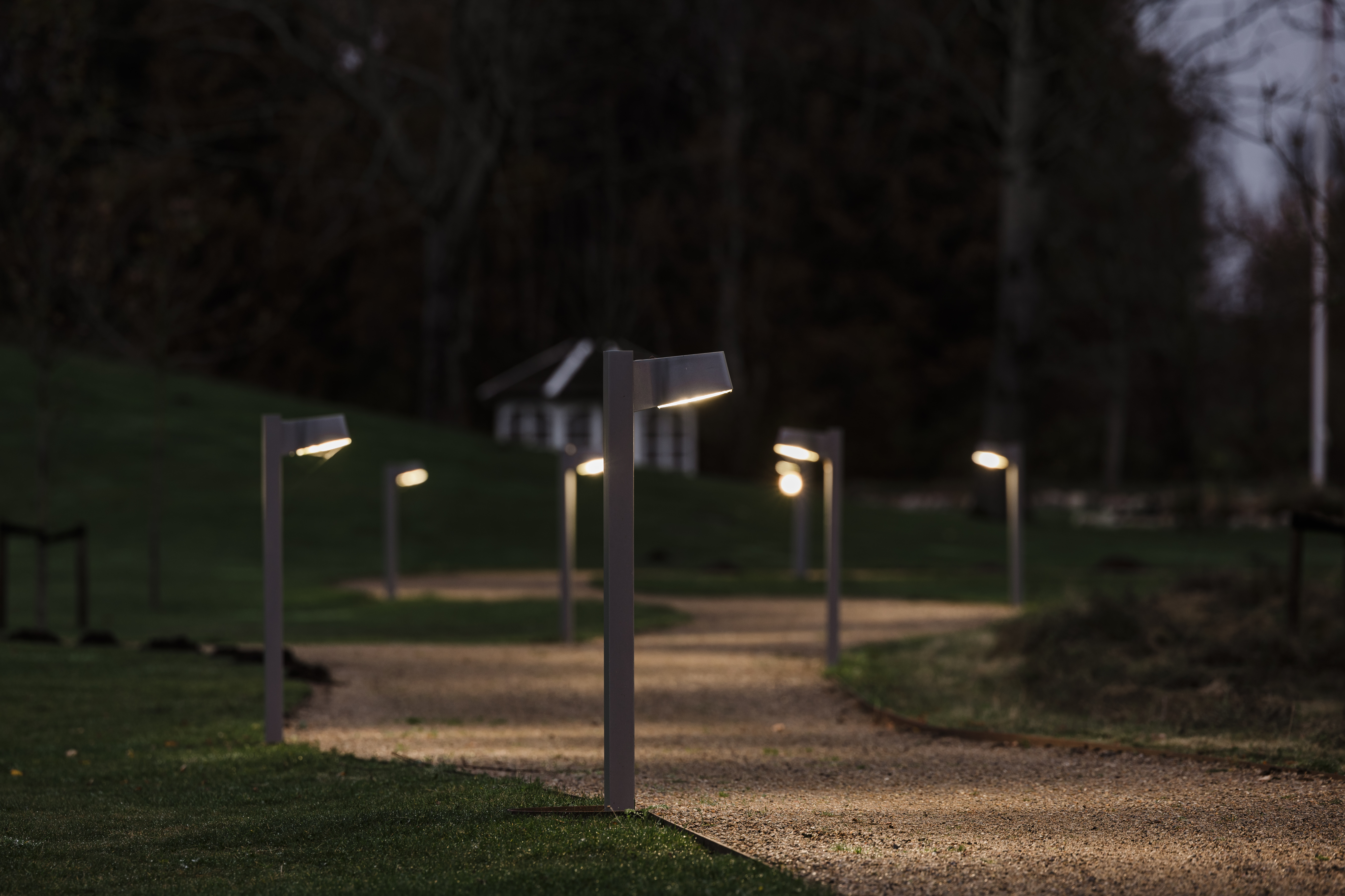 focuslighting_dilling_nov24_0190